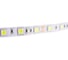 Лента IEK LED 3м LSR-5050W60-14, 4-IP20-12В LSR2-2-060-20-3-03 4