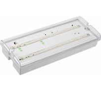 Аварийный светильник IEK ДПА 5042-1, 1 час, универсальный, IP65 LDPA0-5042-1-65-K01