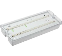 Аварийный светильник IEK ДПА 5042-1, 1 час, универсальный, IP65 LDPA0-5042-1-65-K01