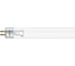 Лампа бактерицидная LightBest LBC 4W T5 G5 700709024 1