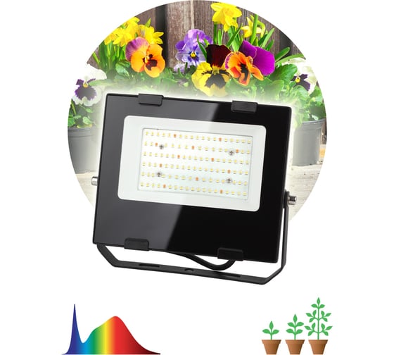 Прожектор ЭРА FITO50WRa90LED, для цветения и плодоношения, 10/300 Б0047875
