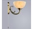 Настенный светильник Arte Lamp WINDSOR A3777AP-1AB 2