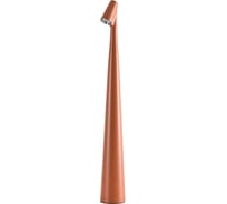 Декоративная настольная лампа ARTE LAMP FUSION A3283LT-2BR
