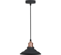 Подвесной светильник Arte Lamp LIDO A5067SP-1BK