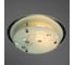 Потолочный светильник Arte Lamp BELLE A4890PL-1CC 2