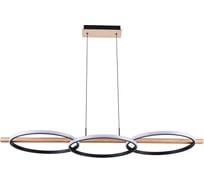 Подвесная люстра ARTE LAMP FLUIDO A3913SP-24BK