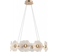 Люстра Rivoli Shannon 6135101 светодиодная LED 30 Вт 3000 K дизайн Б0061947