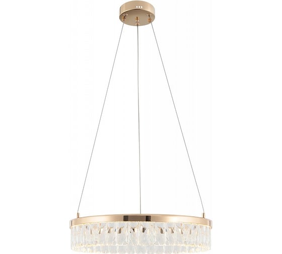 Люстра Rivoli Erika 6131103 светодиодная LED 35 Вт 3000 K дизайн Б0061966 1