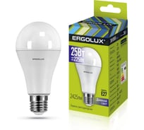Светодиодная лампа Ergolux LED-A65-25W-E27-6K ЛОН, 25Вт, E27, 6500K, 180-240В 14228