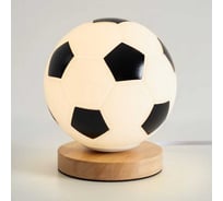 Настольный светильник Freya Goal FR5460TL-01W