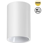 Светильник накладной влагозащищённый светодиодный Novotech LED 10W RE 359416
