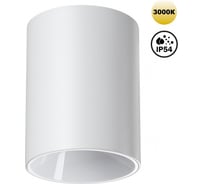 Светильник накладной влагозащищённый светодиодный NOVOTECH LED 15W RE 359420