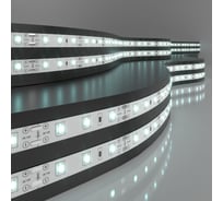 Светодиодная лента Elektrostandard SLS 01 CW IP20 5m 2835 12V 60Led 4,8W IP20 6500K холодный белый a049837