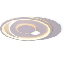 Потолочная люстра J-LIGHT MELLY 5536/80C