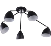 Потолочная люстра J-LIGHT PENNY 1028/5C