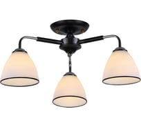 Потолочная люстра J-LIGHT WESTA 3111/3C