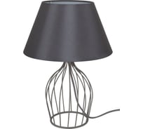 Настольная лампа J-LIGHT FILLY 1310/1T