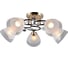 Потолочная люстра J-LIGHT ALLI 1078/5C 1
