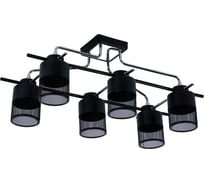 Потолочная люстра J-LIGHT MUDI 2345/6C