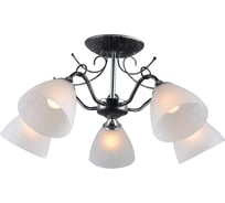 Потолочная люстра J-LIGHT ASTOR 1120/5C