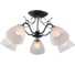 Потолочная люстра J-LIGHT ASTOR 1120/5C 1