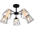 Потолочная люстра J-LIGHT UNION 2351/5C 1