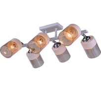 Потолочная люстра J-LIGHT KENNY 3108/6C