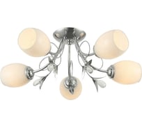 Потолочная люстра J-LIGHT OLI 1118/5C