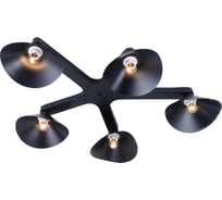 Потолочная люстра J-LIGHT COLIN 1745/5C