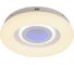 Потолочная люстра J-LIGHT LAKE 5523/105C 1