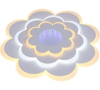 Потолочная люстра J-LIGHT FLOWER 5521/110C