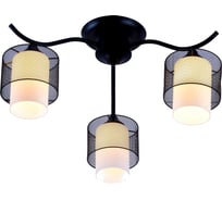 Потолочная люстра J-LIGHT FAGO 2346/3C