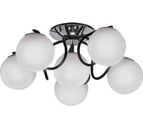 Потолочная люстра J-LIGHT CLOUD 2352/6C
