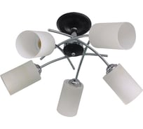 Потолочная люстра J-LIGHT ROXY 1522/5C