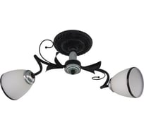 Потолочная люстра J-LIGHT GERA 1520/2C