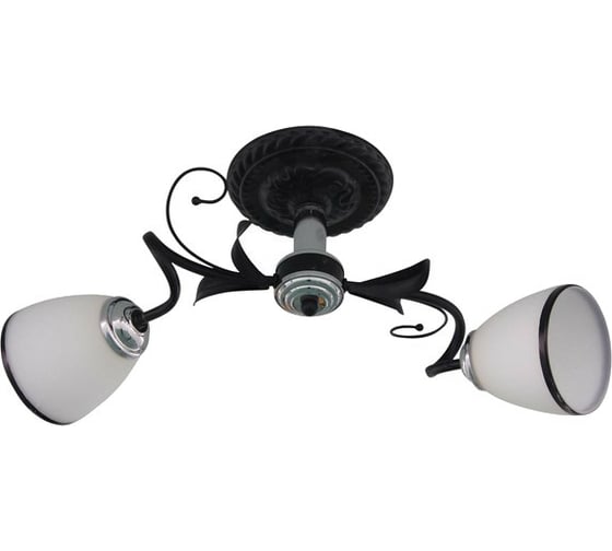 Потолочная люстра J-LIGHT GERA 1520/2C 1