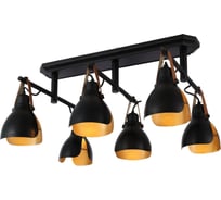 Потолочная люстра J-LIGHT LARRY 2363/6C