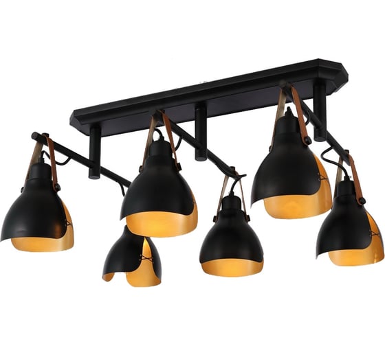 Потолочная люстра J-LIGHT LARRY 2363/6C