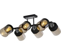 Потолочная люстра J-LIGHT KENNY 3109/6C