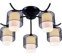 Потолочная люстра J-LIGHT FAGO 2346/5C