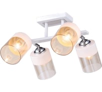 Потолочная люстра J-LIGHT KENNY 3108/4C