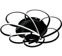 Потолочная люстра J-LIGHT VORTEX 5511/100C