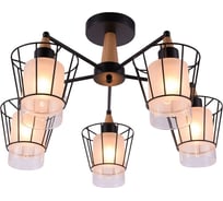 Потолочная люстра J-LIGHT MALLY 1016/5C