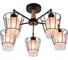 Потолочная люстра J-LIGHT MALLY 1016/5C 1