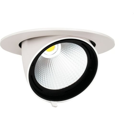 Светодиодный светильник Jazzway встраиваемый PLED DL4 40Вт 4000K белый 24град. поворот IP40 5021921