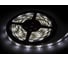 Светодиодная лента LLT LS 35W-30/65 30LED, 2.4Вт/м, 12В, IP65, холодный белый, 6000K 4680005958856 1
