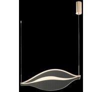 Подвесной светодиодный светильник Wertmark HETTI WE450.01.323