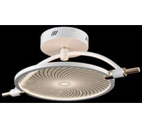 Потолочный светодиодный светильник Wertmark LAURA WE430.01.007