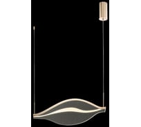 Подвесной светодиодный светильник Wertmark HETTI WE450.01.303