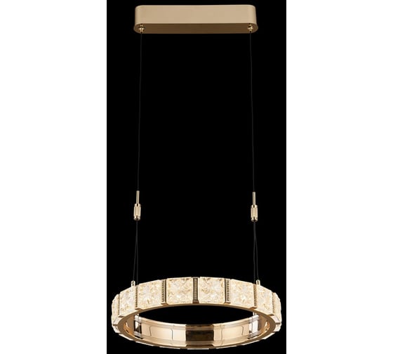 Подвесной светодиодный светильник Wertmark VERA WE458.01.303